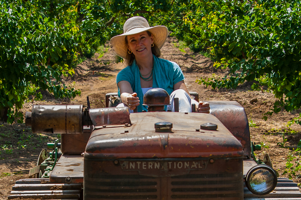 Plowing the apricot orchard