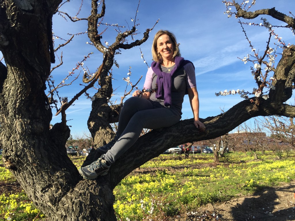 Lisa perched in apricot tree
