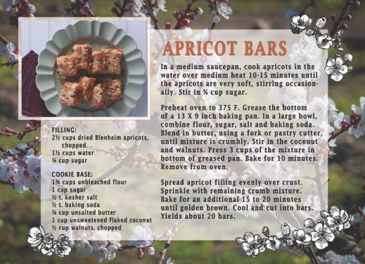 Apricot Bar Recipe Card