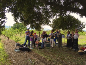 folk band ensemble was playing under a huge oak 