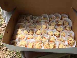 Apricot bars