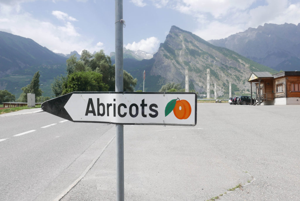 Swiss Valais Apricots