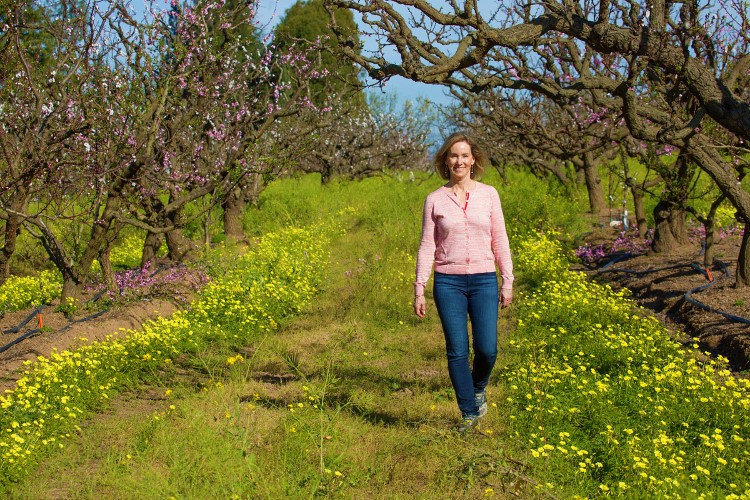 An orchard stroll