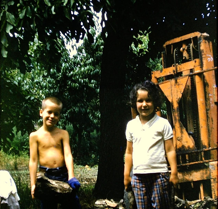 Curry kid's stacking woodpile