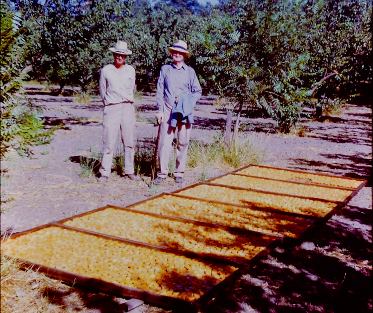 Curry Generations, Douglas and his father Howard