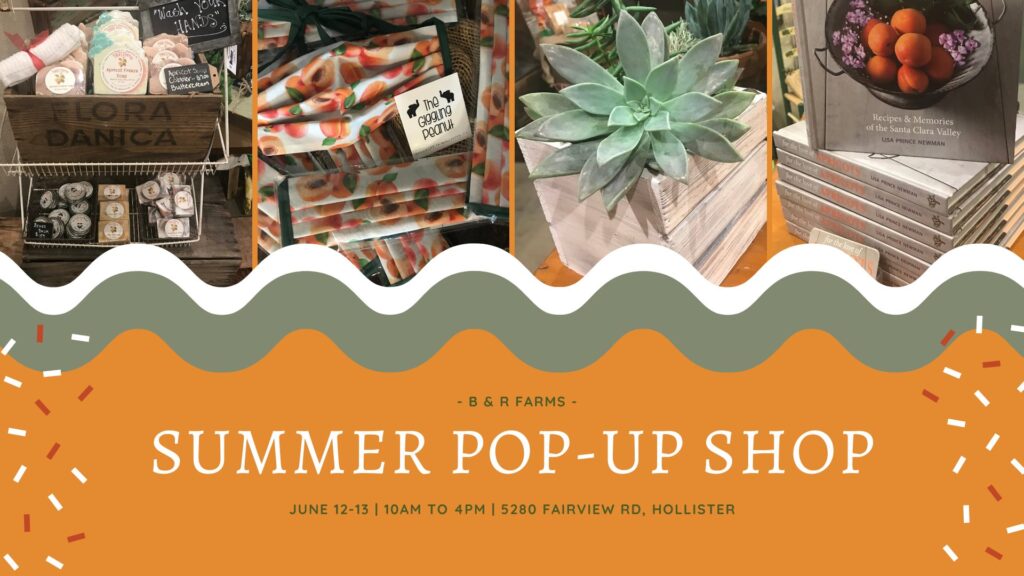 Summer Pop-Up at B & R Farms